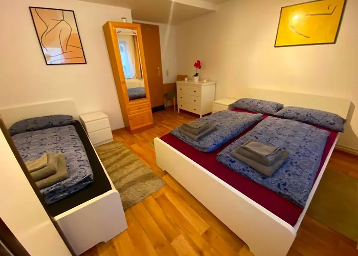 Ferienhaus Greiz Daire *